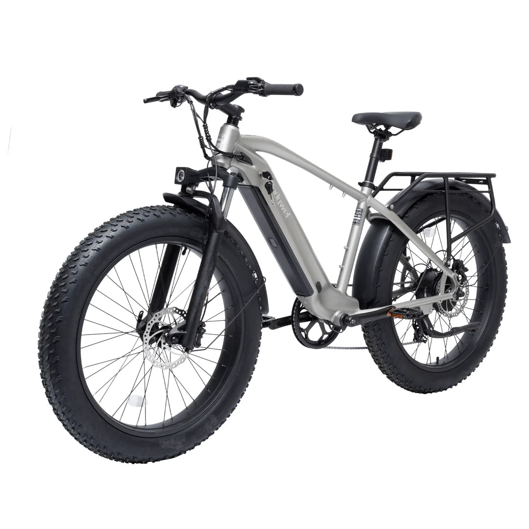 Bodywel D6 Fat Tire Mountain Ebike