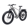 Bodywel D6 Fat Tire Touring Ebike - Long Range - BodyweI EU