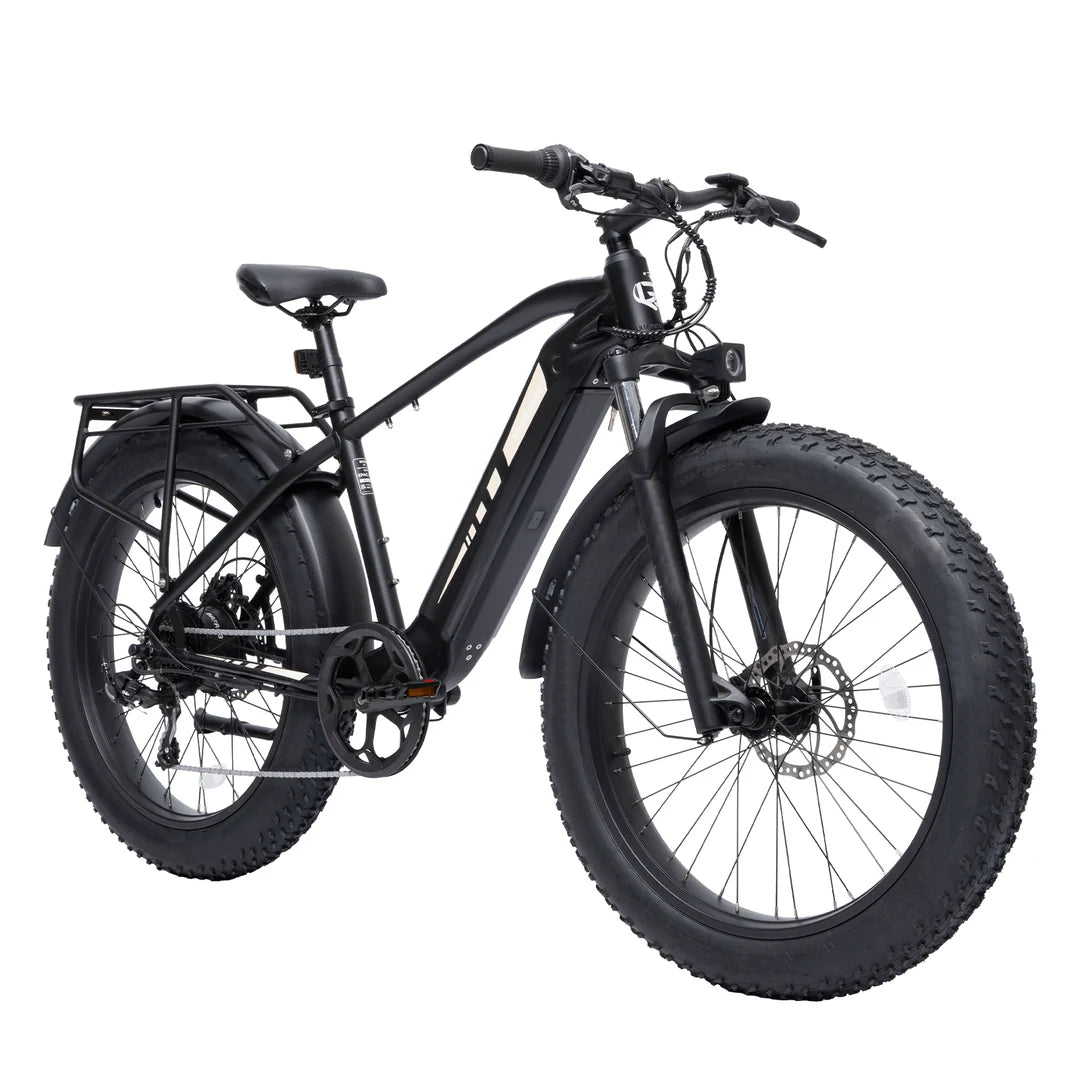 Bodywel D6 Fat Tire Mountain Ebike