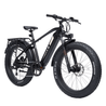 Bodywel D6 Fat Tire Touring Ebike - Long Range - BodyweI EU