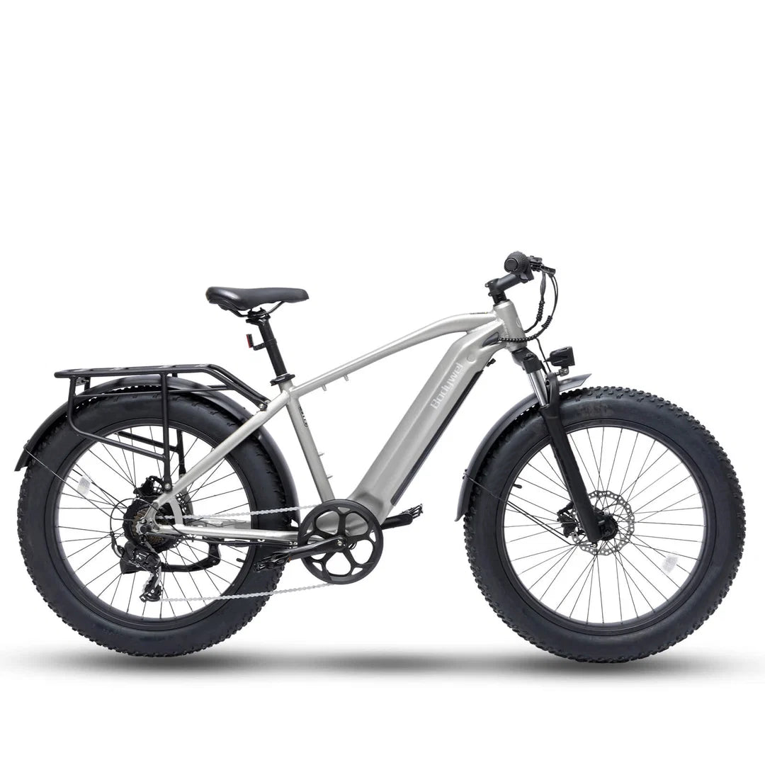 Bodywel D6 Fat Tire Mountain Ebike