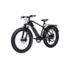 Bodywel D6 Fat Tire Touring Ebike - Long Range - BodyweI EU