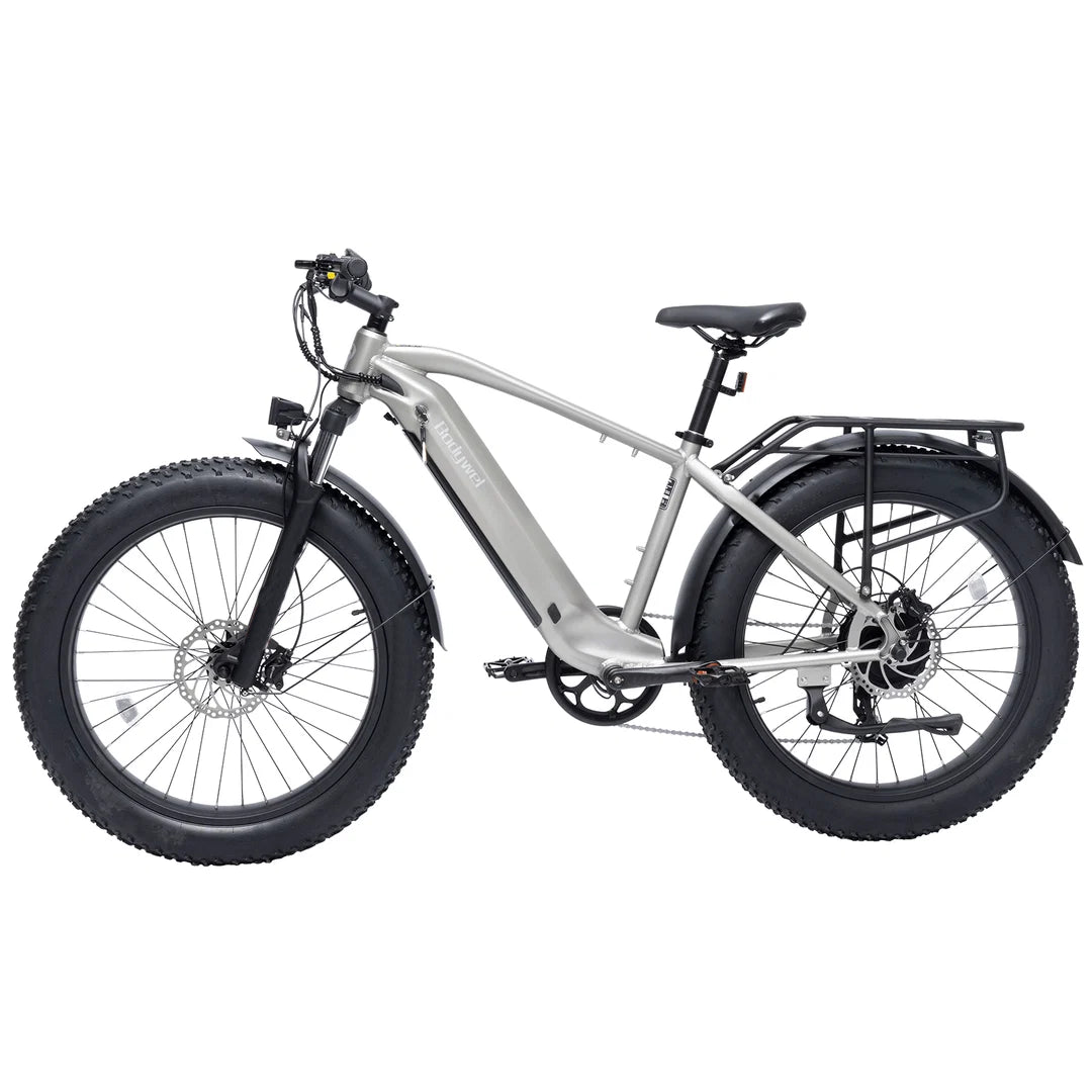 Bodywel D6 Fat Tire Mountain Ebike