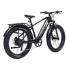 Bodywel D6 Fat Tire Touring Ebike - Long Range - BodyweI EU