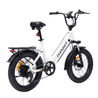 Bodywel F20 Fat Tire Touring Ebike - BodyweI EU