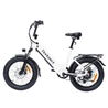 Bodywel F20 Fat Tire Touring Ebike - BodyweI EU