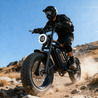 Bodywel M16 Fat Tire E - Bike - BodyweI EU