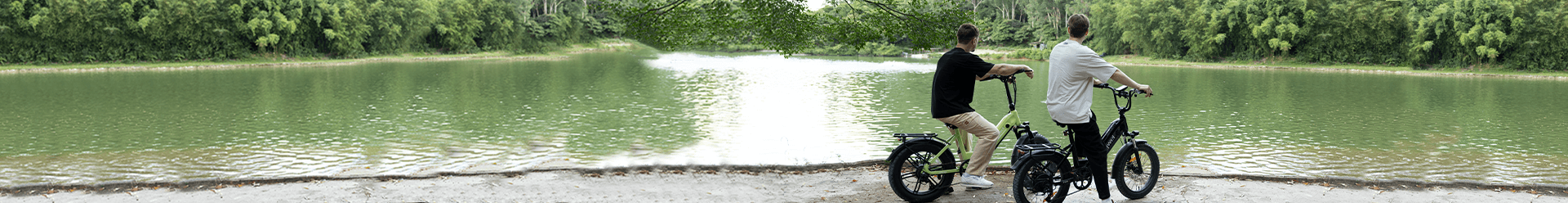 collection_page_12_a0e0d104-fd0c-4ea7-ab29-e28b5f71890a.png