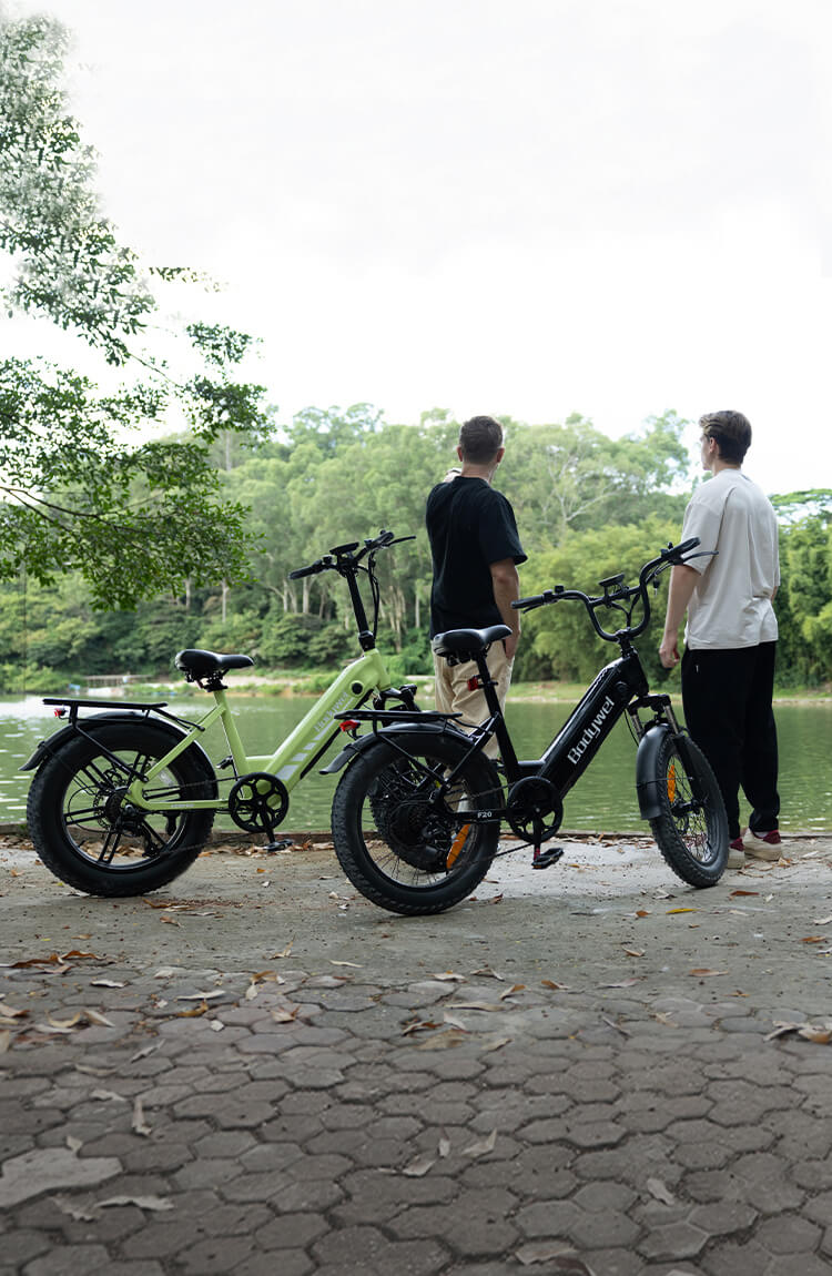 F20 & F20 Pro Touring E-bike