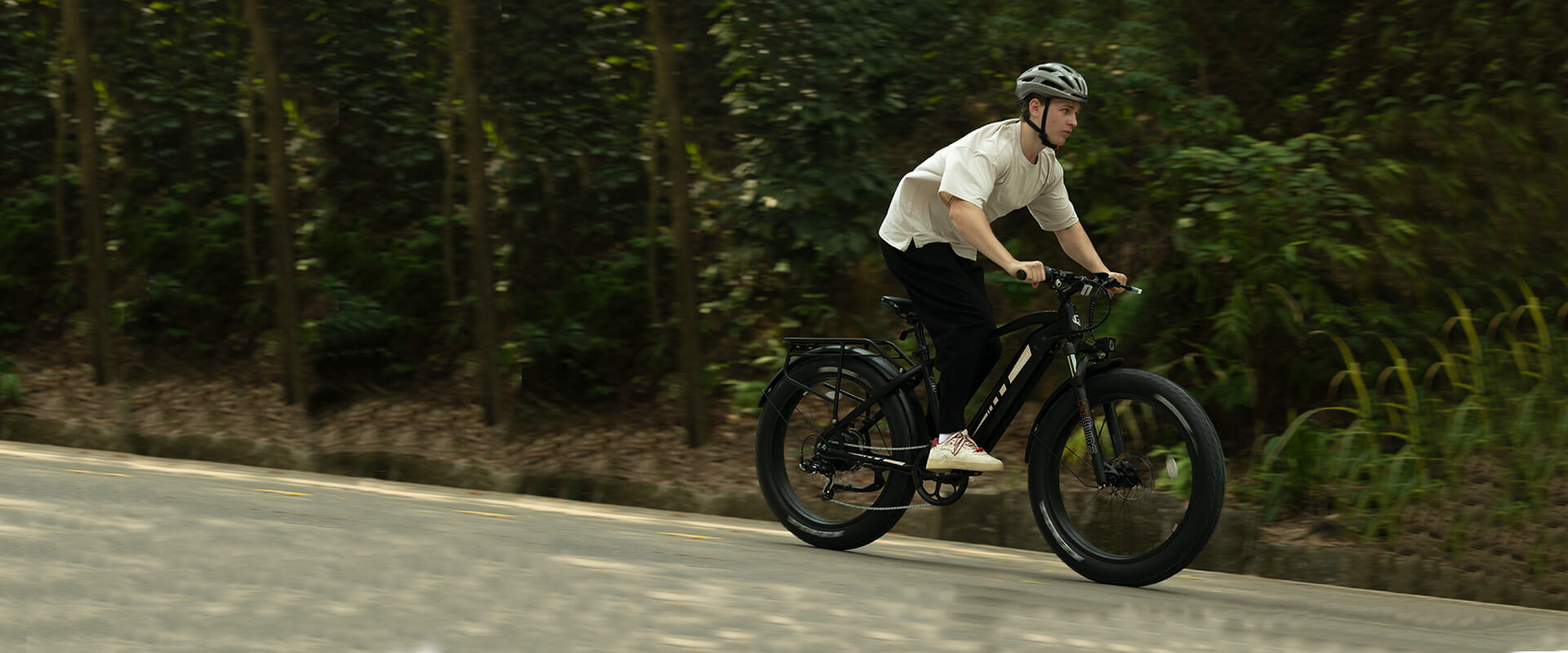 D6 Mountain E-bike