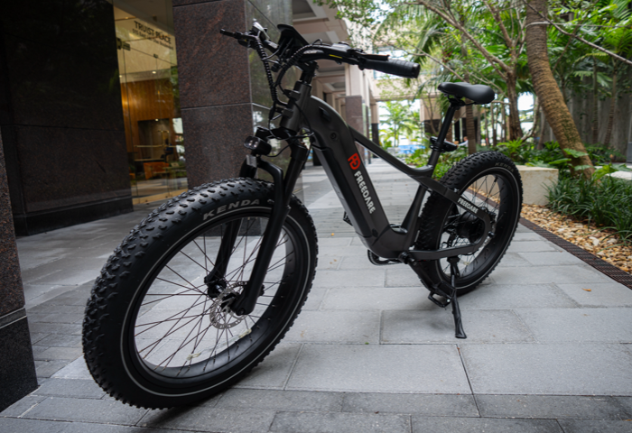 Freedare Saiga Ebike