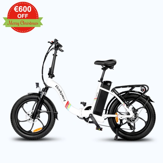 Bodywel-F20SE-wide tire ebike